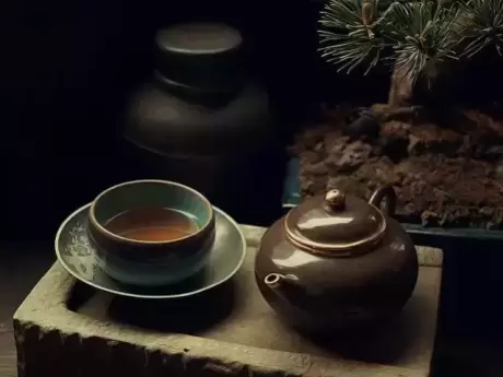 关于茶叶的知识 了解茶叶知识