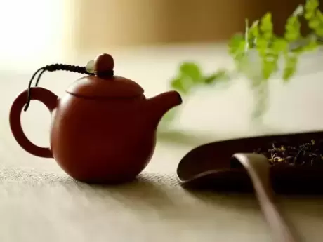 关于茶叶的知识 了解茶叶知识